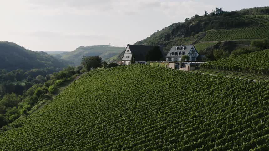 Aerial view of gut hermannsberg vineyard