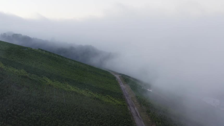 Heavy fog settles over rolling hills