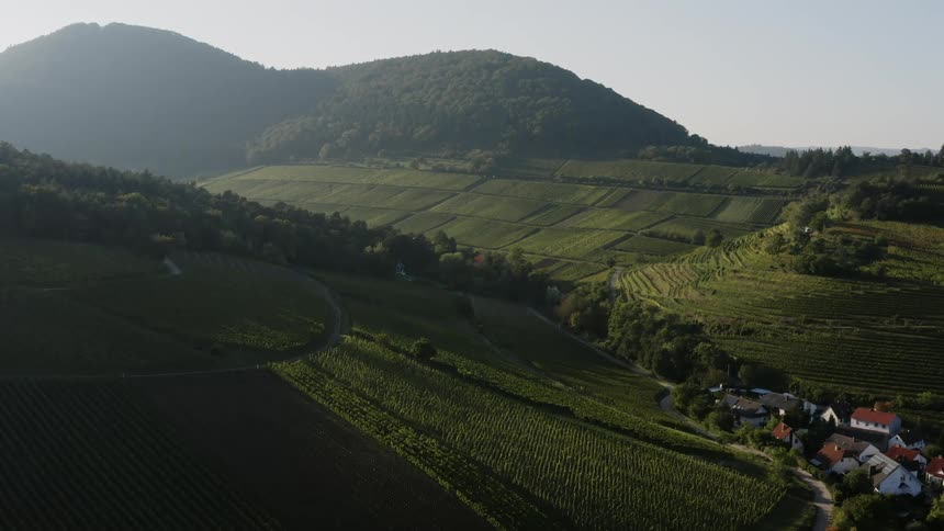An aerial view of green fields on a hillside