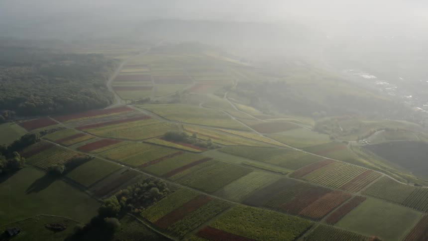 An aerial view of crops in a rural area