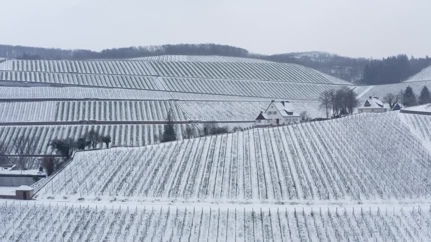 Houses sit on the hillsides near fields of snow covered frozen vineyards on a winter day