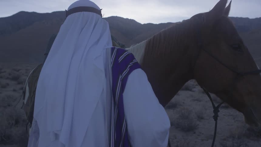 A man walks around his horse