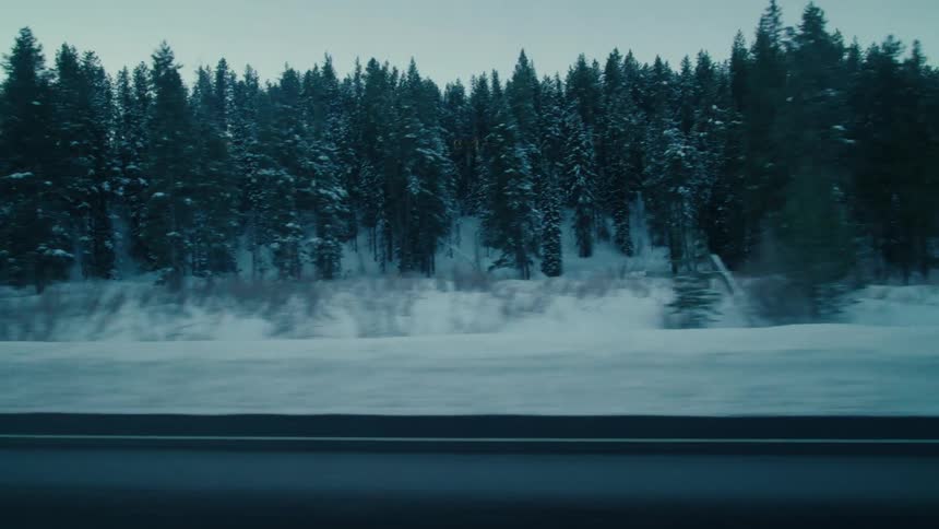 A view of a forest covered in snow