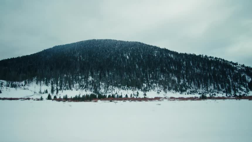 A mountain full of pine trees as well as the ground are covered in snow