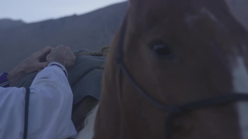 A man adjusting the ropes that hold a pack on his horse's back