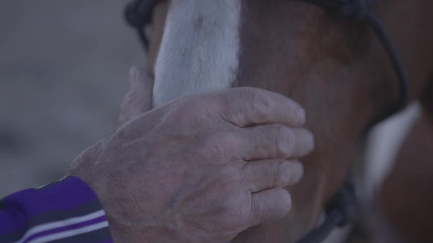 A man pets a horse