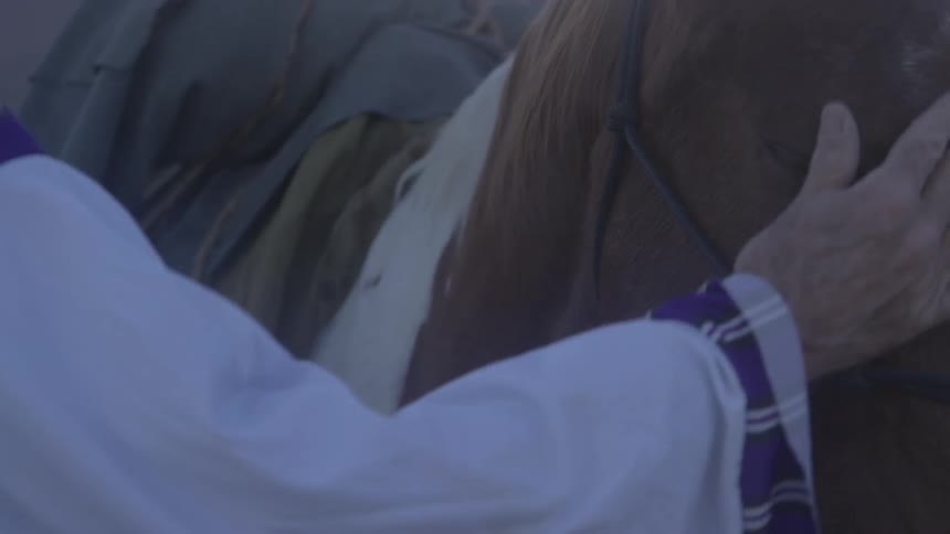 A man is petting his horse