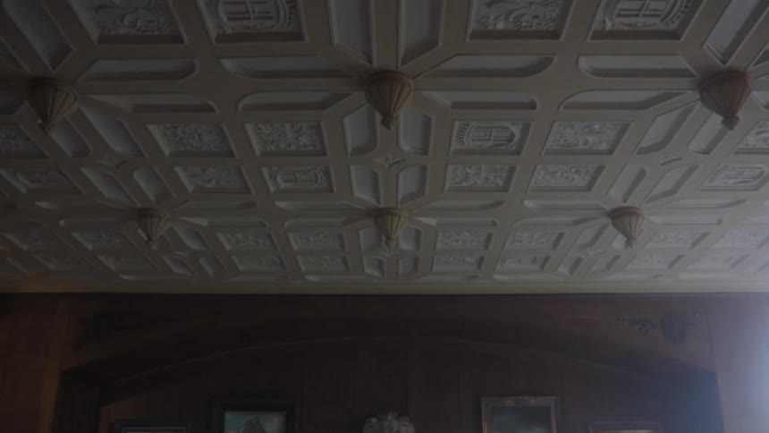 Paneling covers a ceiling while paintings hang on the wall