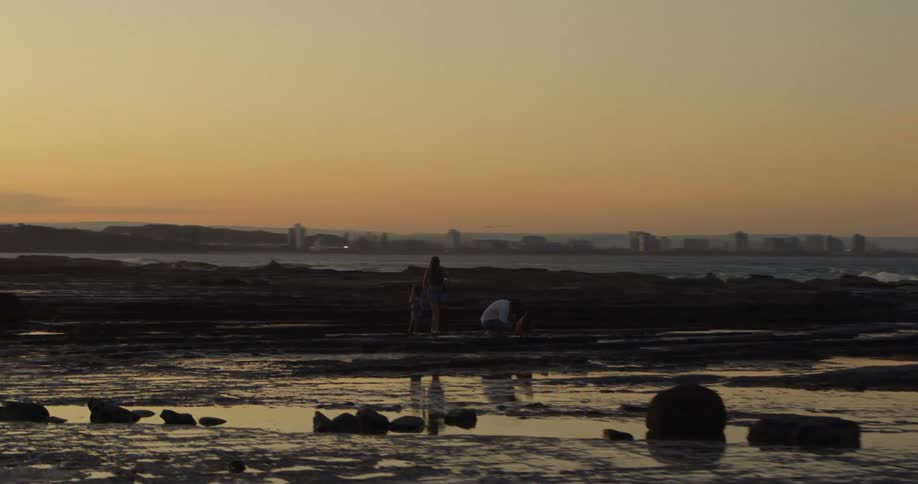 A family with two young girls are standing on the shore looking at water puddles along the coast as waves roll in