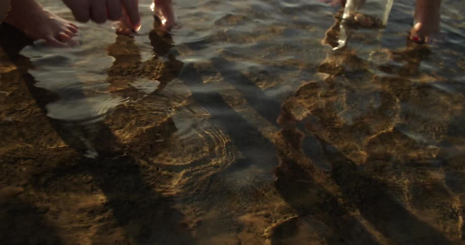 Two pairs of childrens feet are shown standing in the water on sand while an adults finger points to a snail