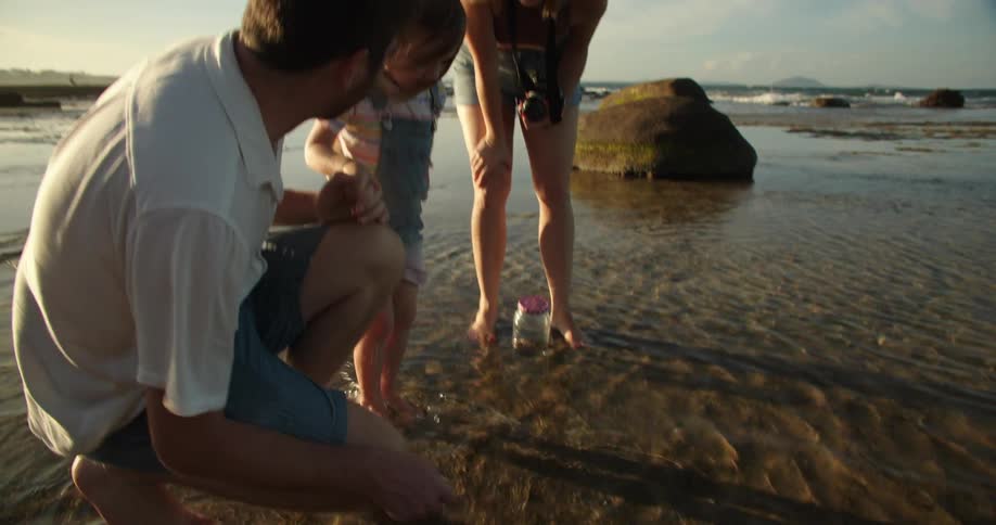 Mother and father watch daughter interact with coastal sea life as they wade barefoot in water