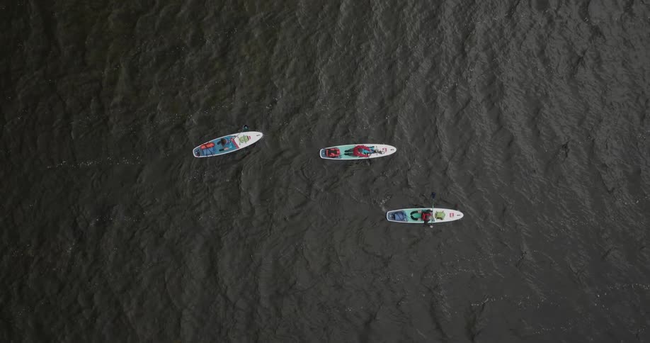 Three people paddling paddleboards through the water