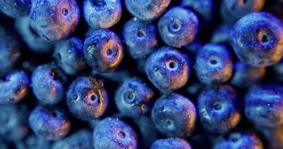A twisting close up of grapes