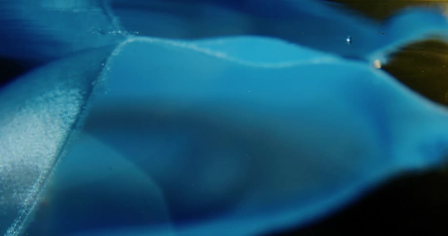 A piece of blue fabric floating underwater