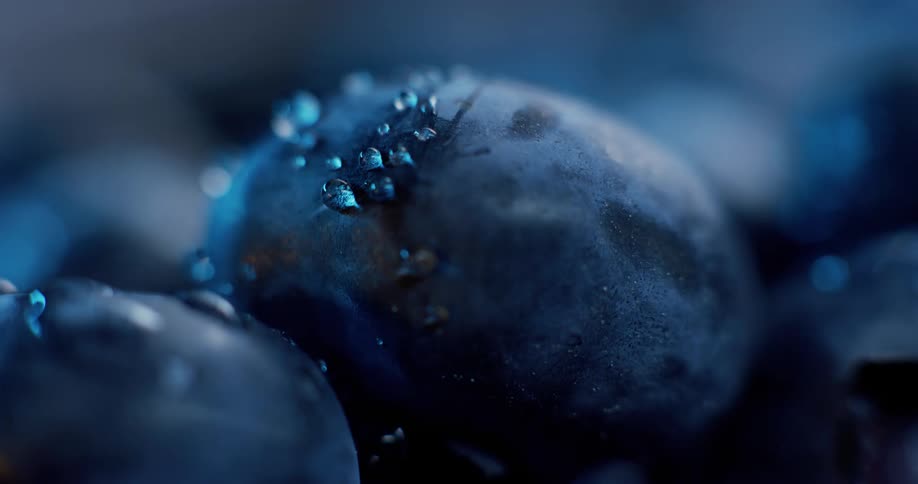A close up of water droplets on a blueberry