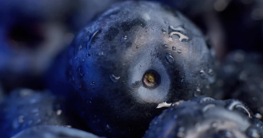 Wet blueberries reflect light