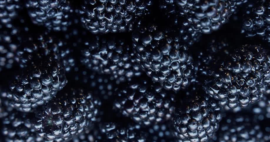 Digital view of berries are on display