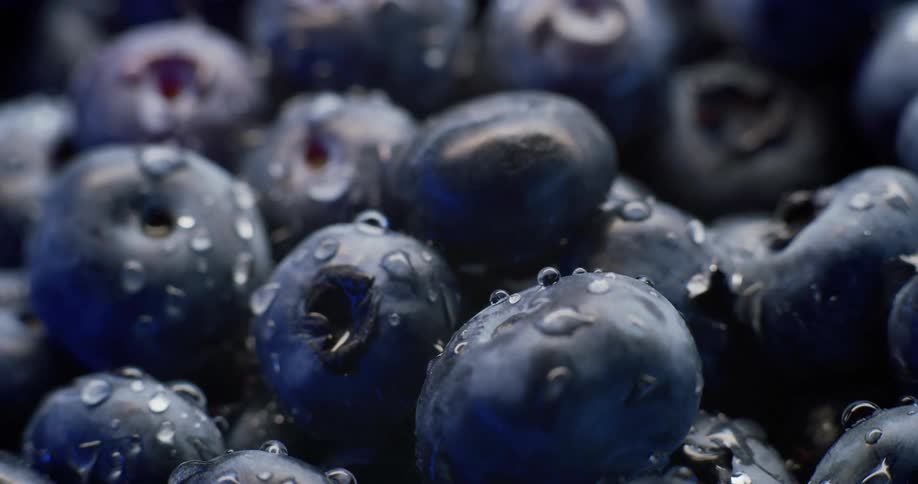 The blueberries are wet
