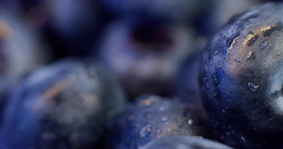 A view of berries