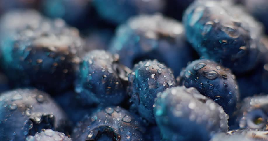The blueberries are wet