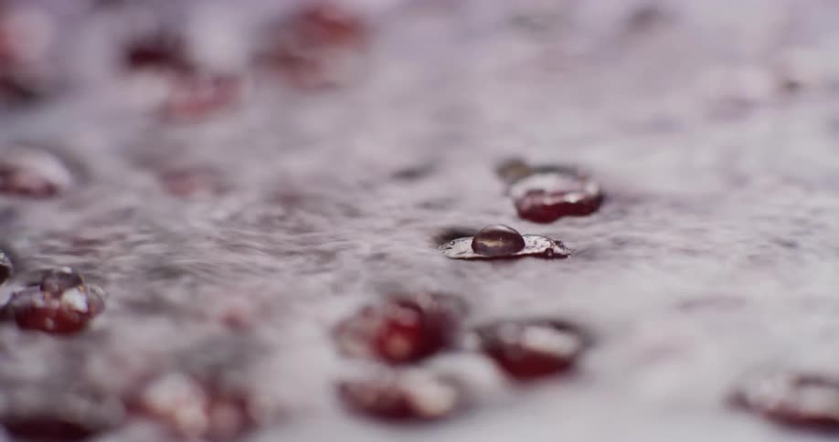 Roiling water moves floating berries across surface