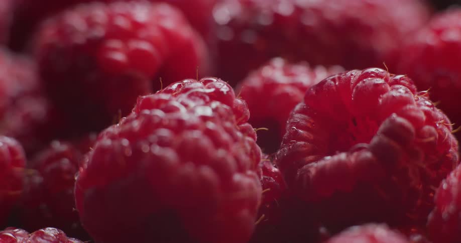 The red fruit casts a shadow