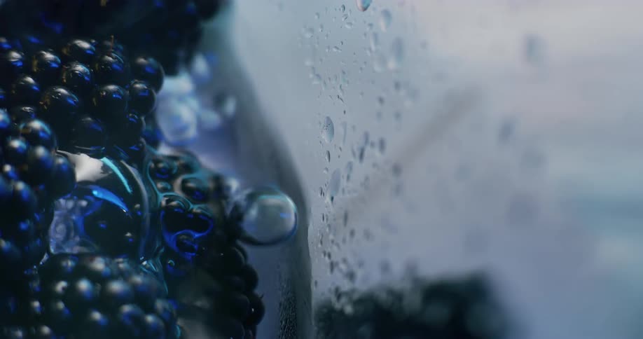 A person blends blackberries with water