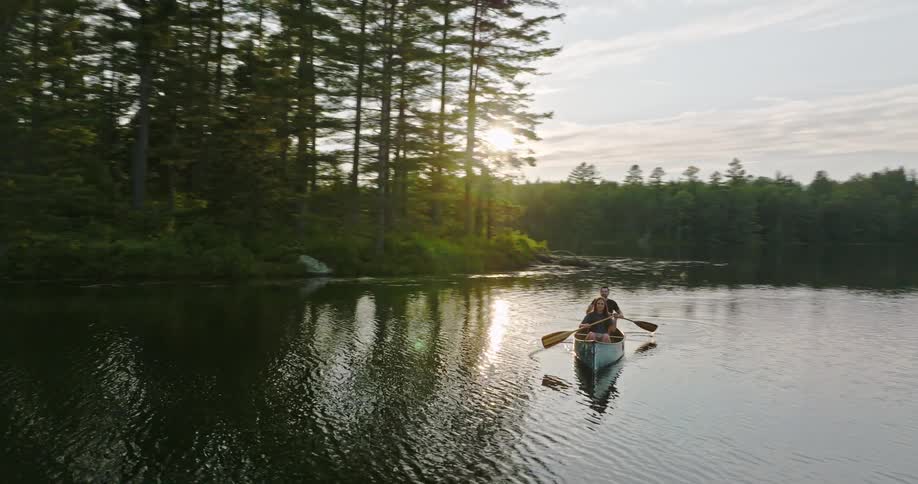 Man and woman paddle canoe over water near woods on sunny day