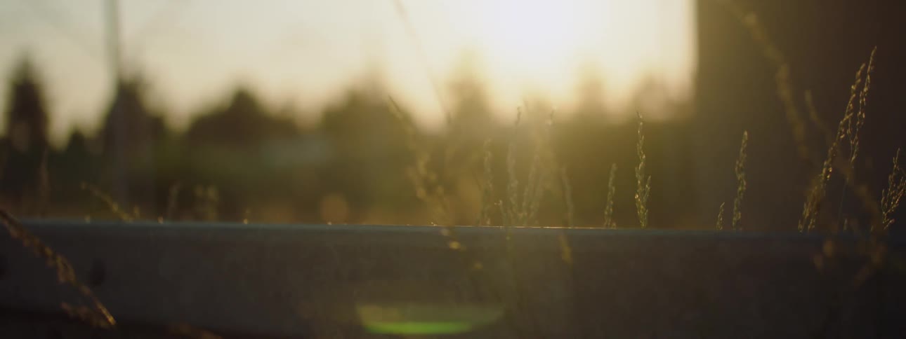The sun shines over trees behind wood fence in the field at dusk
