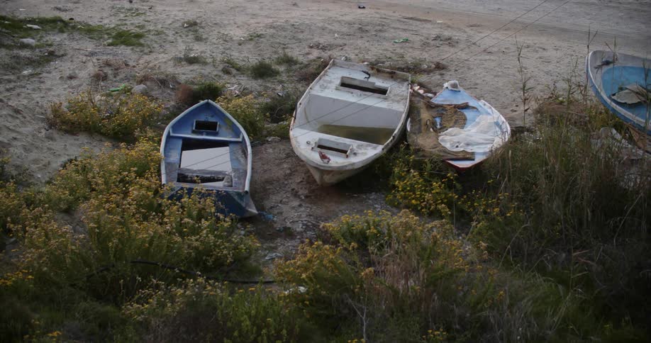 Several small abandoned sailboats are beached on the shore with weeds and wildflowers surrounding them