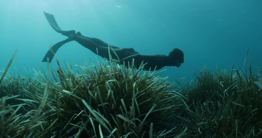 A diver swims just above the ocean floor