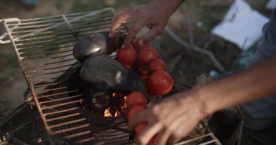 A person cooking tomatoes and eggplants on a campfire