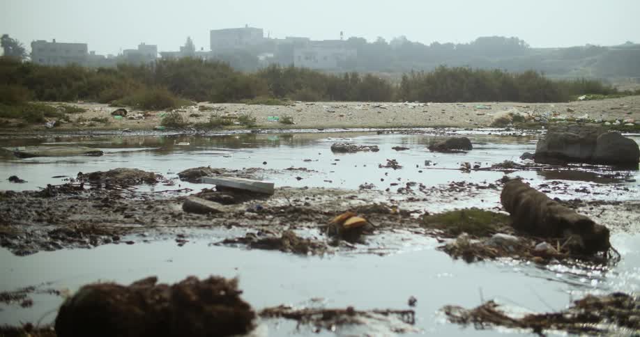 Rubbish and litter sit in water and nearby shore with foggy town in the background