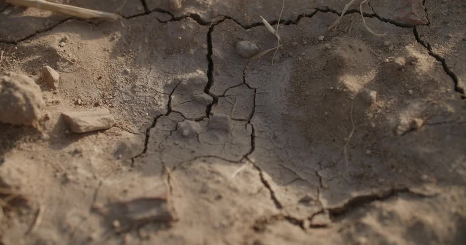 Focus pulled to cracks in clay dirt
