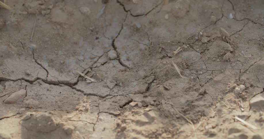 Man treads on soil with brown leather shoe