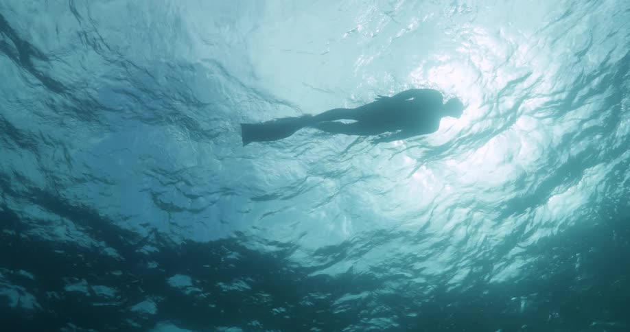 A young man is swimming in the water and scuba diving