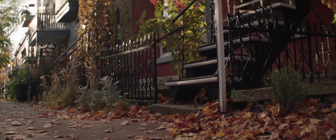 Close up of front outdoor steps with pile of fall leaves on ground