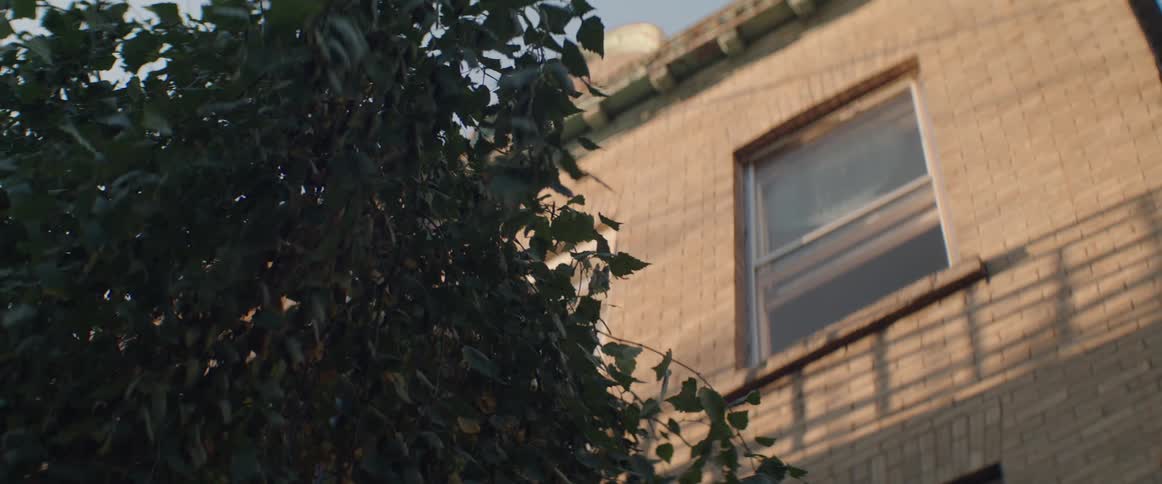 A view of morning light against a brick apartment building