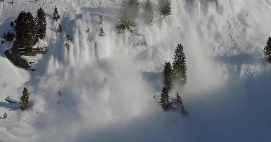 Snow flows down mountain slope around conifer trees during avalanche