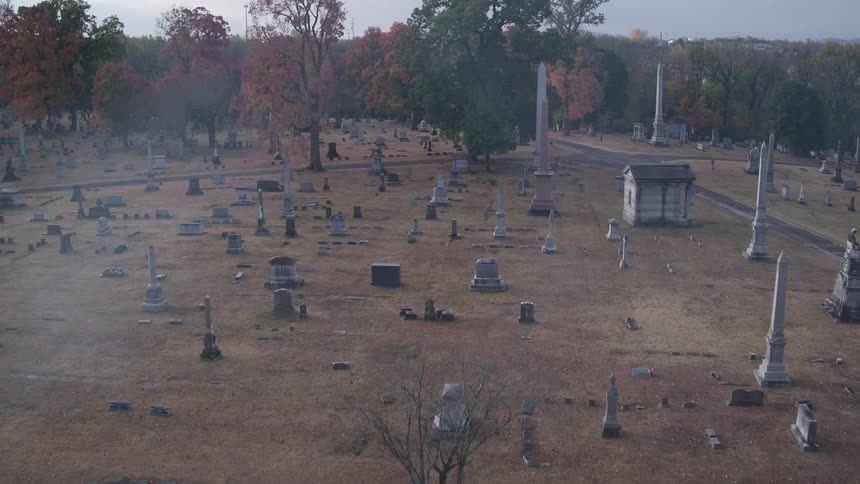 Fog hovers in a cemetery