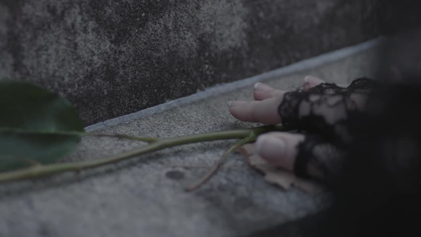 A person puts a flower on a grave