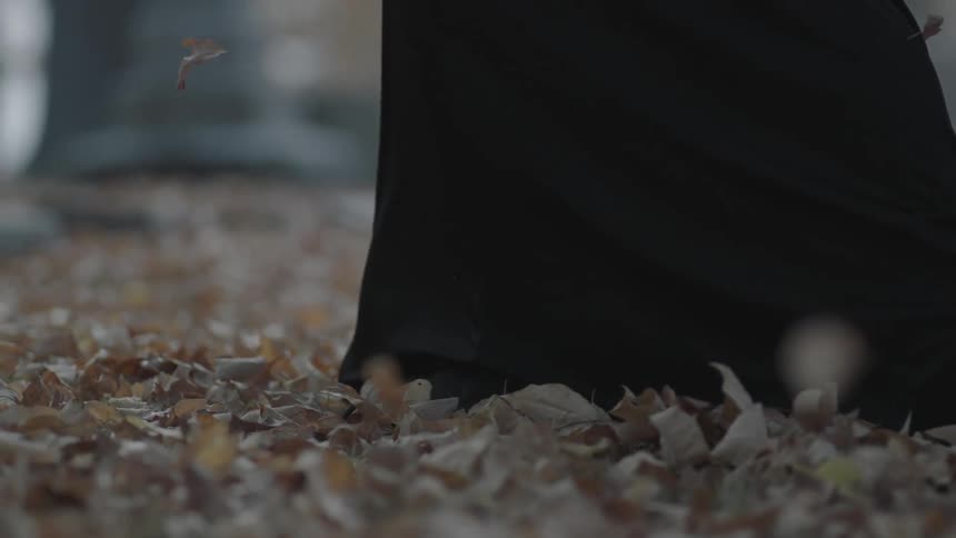 Leaves are falling as someone walks