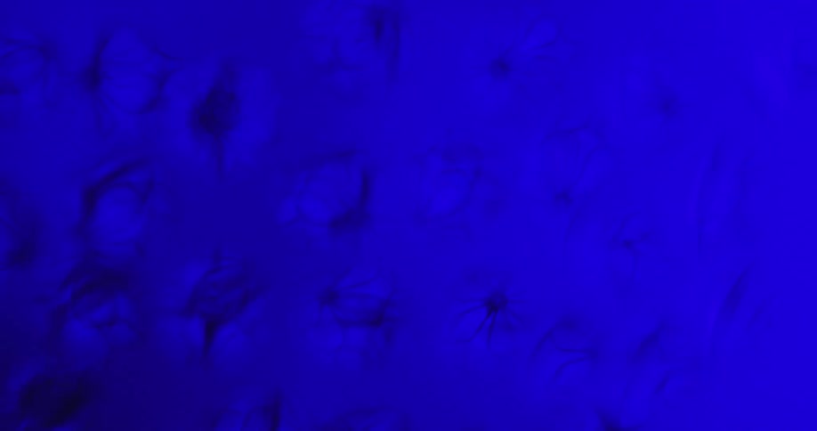The vies is of shapes and different colors