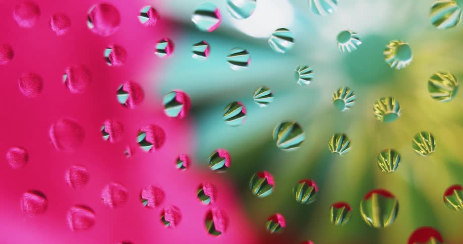 The shop reflects through the drops of water