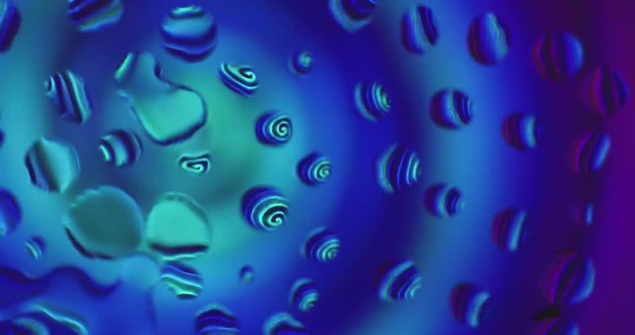 The light reflects through the drops