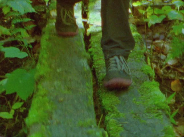 Person crosses ravine on moss covered footbridge made from two planks