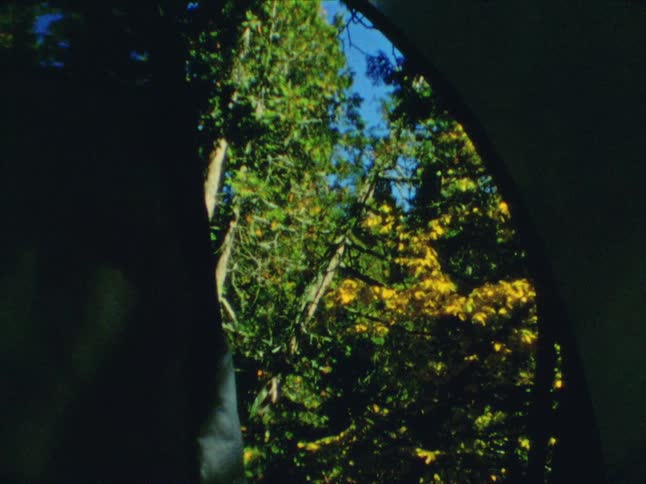 A woman grabbing something from an open tent in the forest