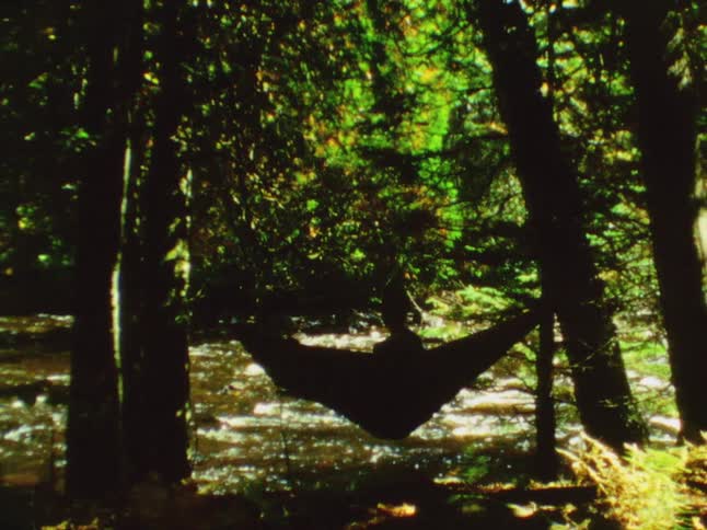A person sits in a hammock on the bank of a river in a woodland during the day