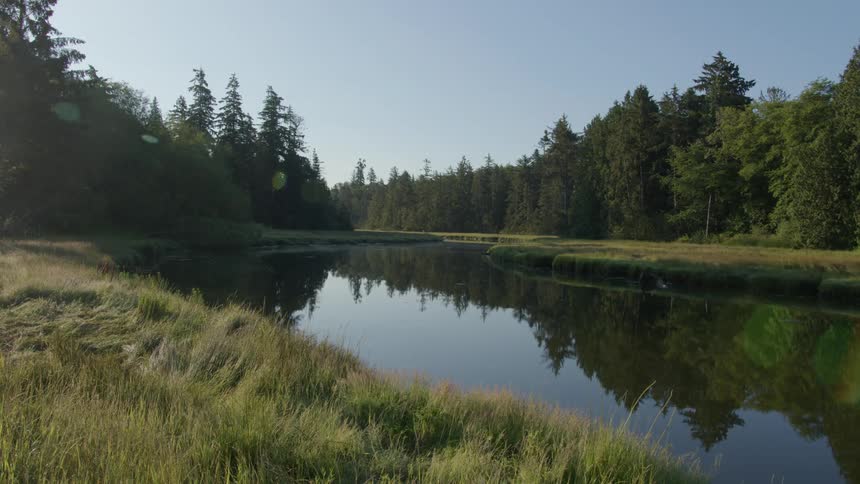 Body of water in the middle of the forest