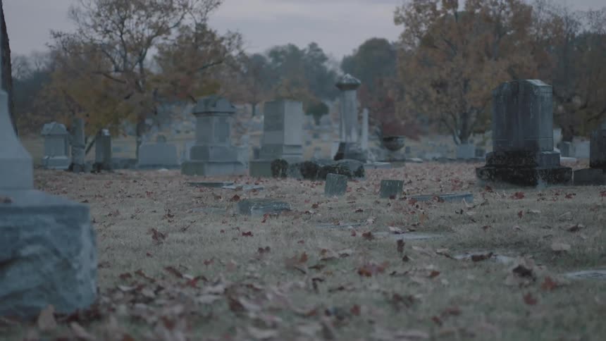 Leaves blowing in the wind in a cemetery